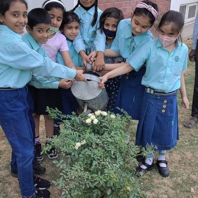 Whatsapp Image 2023 06 02 At 19.27.56