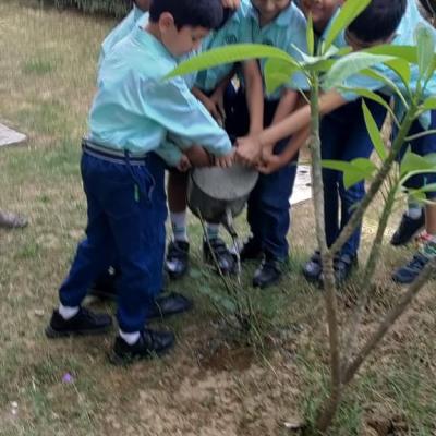 Whatsapp Image 2024 10 08 At 10.13.36